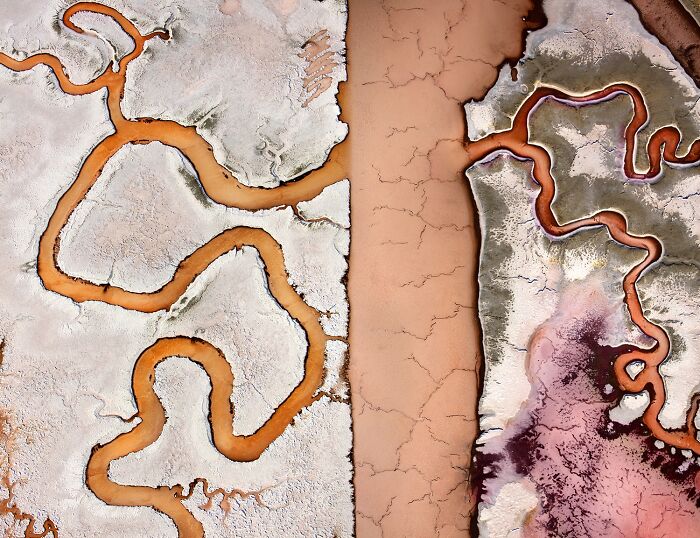 Healing Landscape: A Damaged World In Transition (Nature/Aerial, Gold)