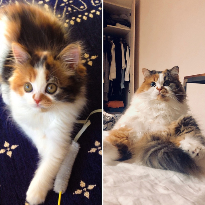 Then And Now. Everybody Meet Boo!