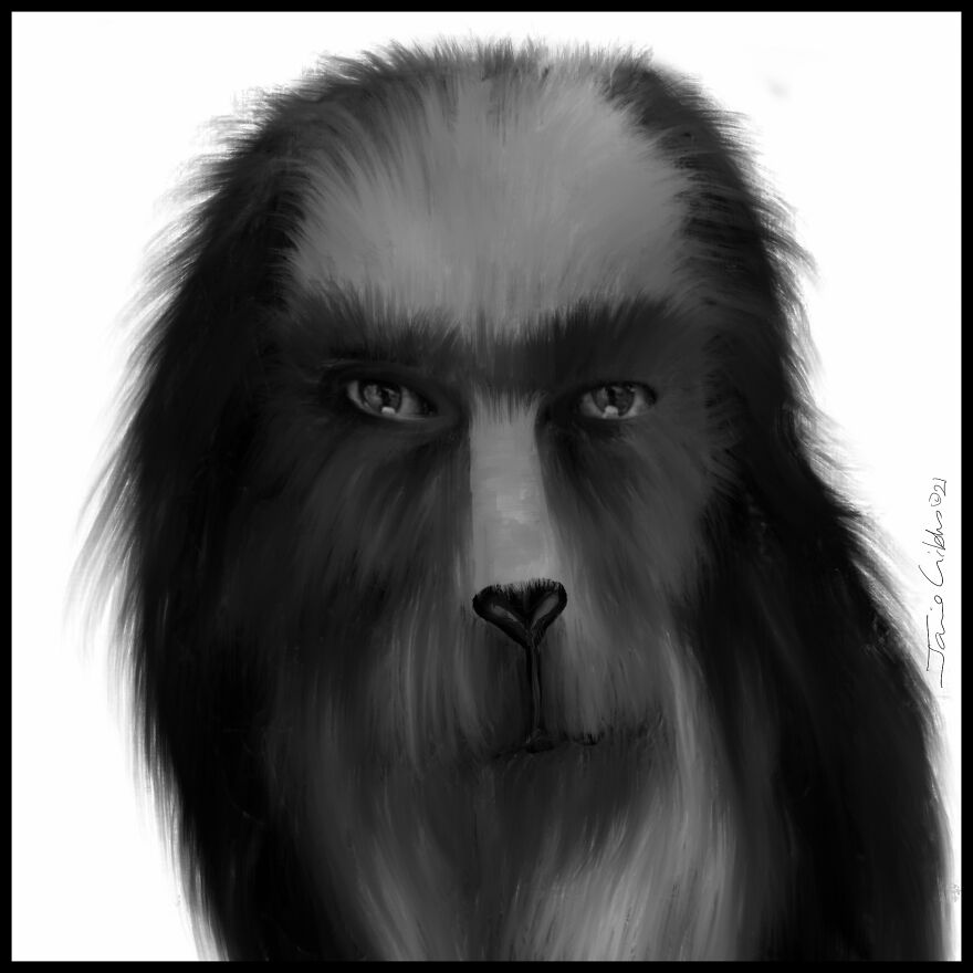 Making Art And Keeping Sane During The Pandemic Helps Me Reveal The Hidden Personalities Of Dogs And Cats And Their Human Counterparts! Making Art And Keeping Sane During The Pandemic Helps Me Reveal The Hidden Personalities Of Dogs And Cats And Their Human Counterparts!