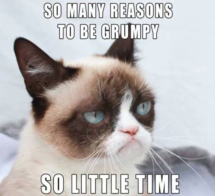 Hey Pandas, Create A Grumpy Cat Meme (Closed)