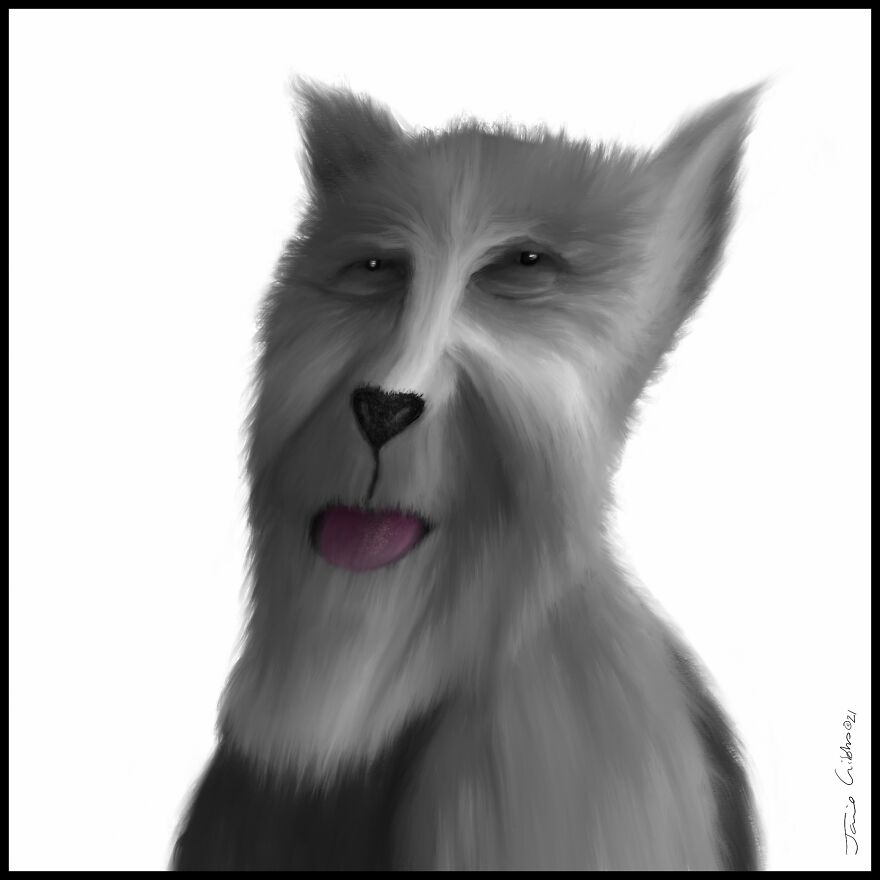Making Art And Keeping Sane During The Pandemic Helps Me Reveal The Hidden Personalities Of Dogs And Cats And Their Human Counterparts! Making Art And Keeping Sane During The Pandemic Helps Me Reveal The Hidden Personalities Of Dogs And Cats And Their Human Counterparts!
