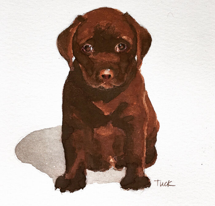 I Like To Paint Puppies