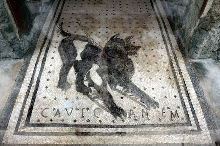 A "Beware Of Dog" Sign In A 2,000-Year-Old Roman House