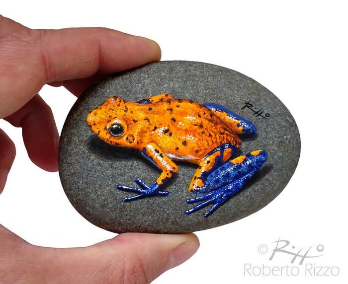 Hand-Painted-Rocks-Stone-Art-Animals-Robertorizzoart
