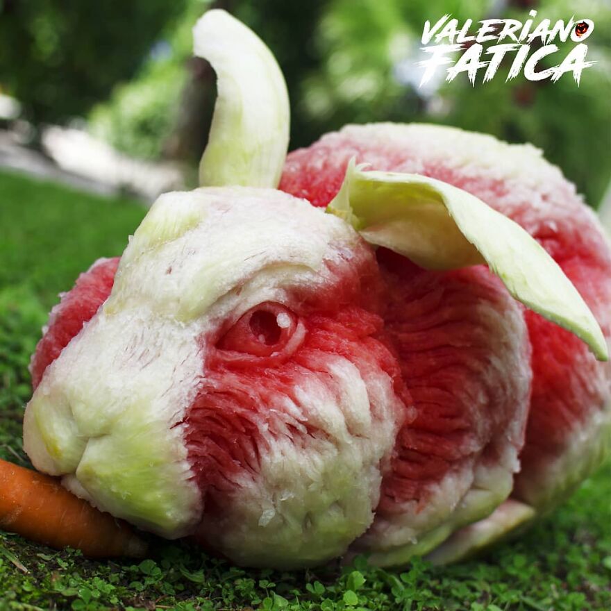 Rabbit – Watermelon