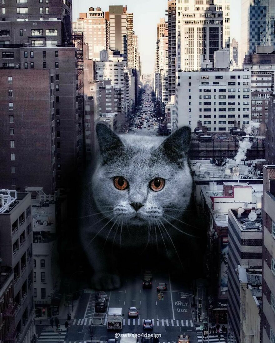 Meowzilla, Citykitty, Cat-Astrophe Or Cing Cong Cat - How Would You Call This Edit?
.
.
op @unsplash Made With @photoshop .
.
#artbasel #psduniverse #learnphotoshop #trippypainting #catloversclub #newyork #artselect #dailyart #9gag #citykillerz #dailyart #digitalcontentors #enterimagination #edit_mania #editvisual #empireoffuture #graphicroozane #launchdsigns #manipulationteam #xceptionaledits #theuniversalart #thecreatart #thecreativers #thecreart #photoshop_indonesia #gmofps #imaginativeuniverse #creativecloud_fantasy #ps_ultraviolet