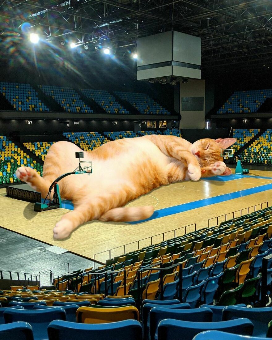 Artist Imagines The World With Giant Cats, And The Result Is Purrrfect