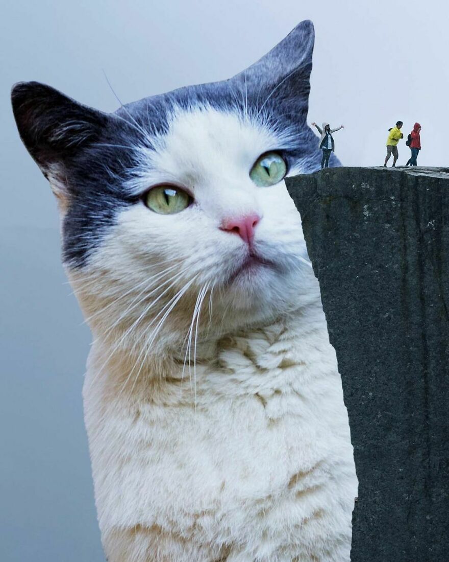 Artist Imagines The World With Giant Cats, And The Result Is Purrrfect