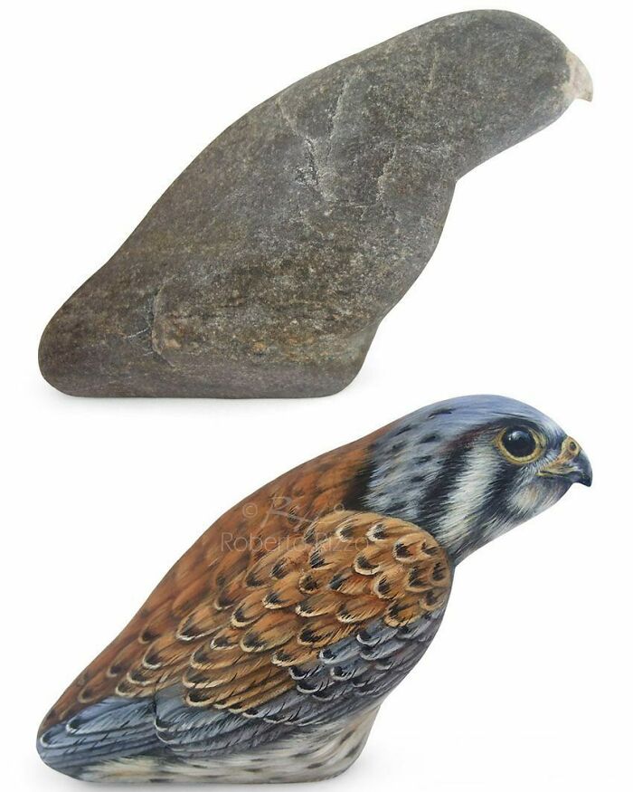 Hand-Painted-Rocks-Stone-Art-Animals-Robertorizzoart