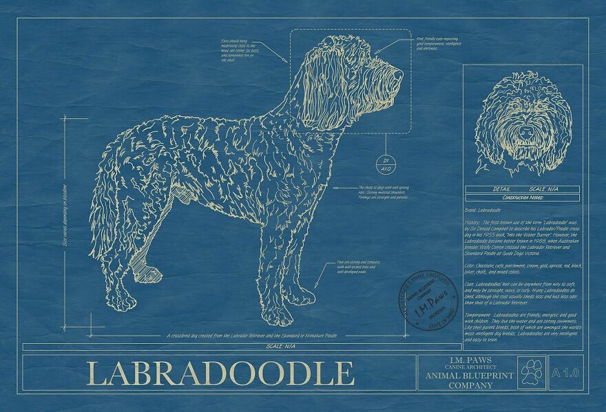 Labradoodle Bluprint Art