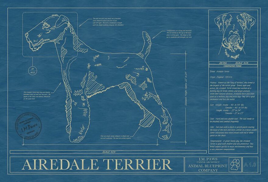 Airedale Terrier Blueprint Art