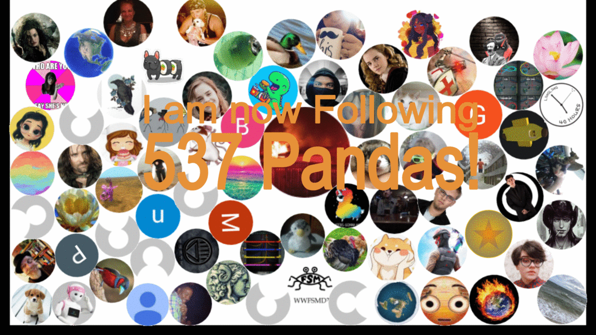 Bored-Panda-Followers-GIF-601ae3bd97f3f.gif