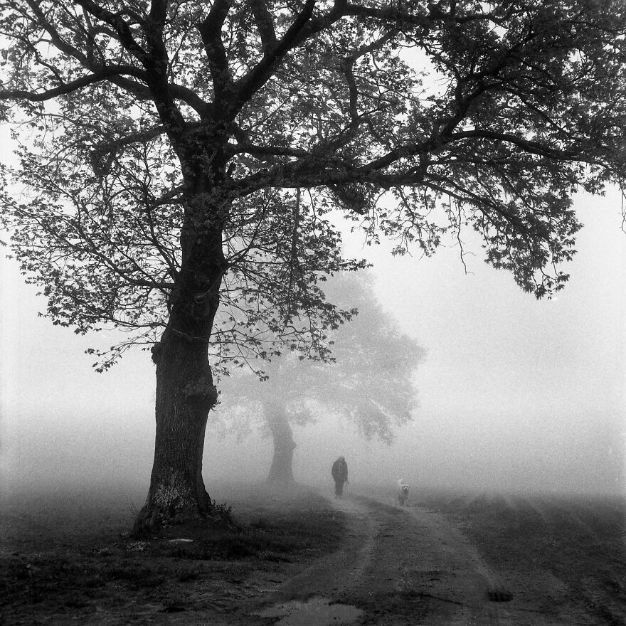 Walk In The Fog
