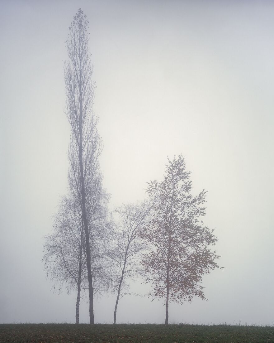 Brouillard (1st Place / Analog / Film / Landscape)