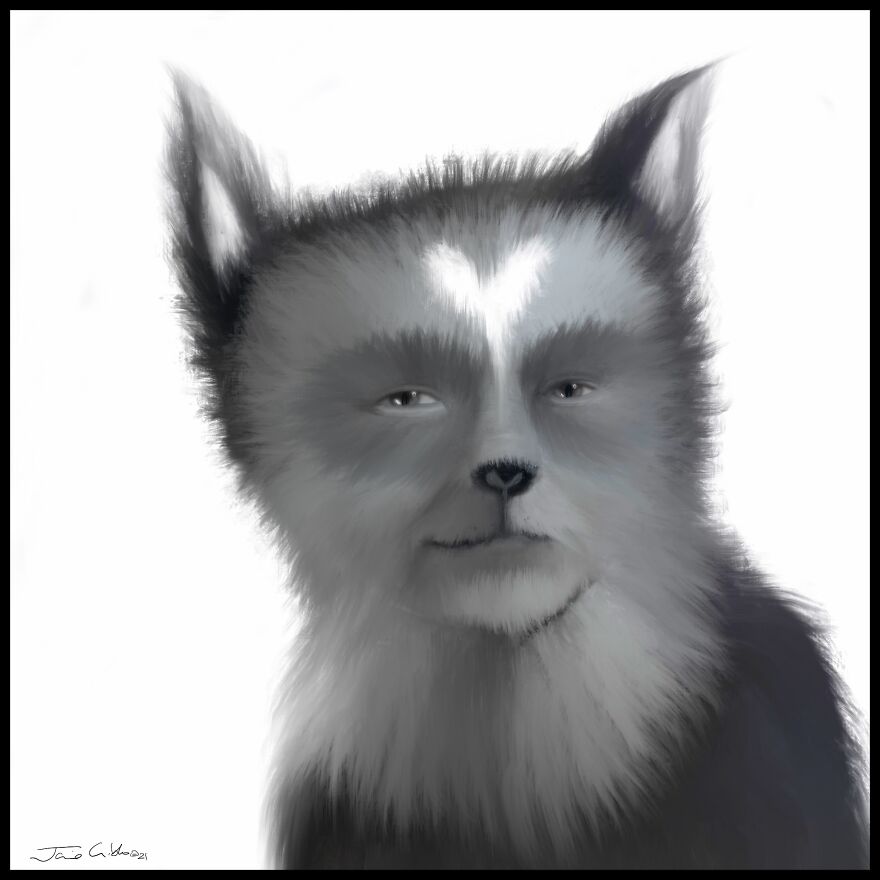 Making Art And Keeping Sane During The Pandemic Helps Me Reveal The Hidden Personalities Of Dogs And Cats And Their Human Counterparts! Making Art And Keeping Sane During The Pandemic Helps Me Reveal The Hidden Personalities Of Dogs And Cats And Their Human Counterparts!
