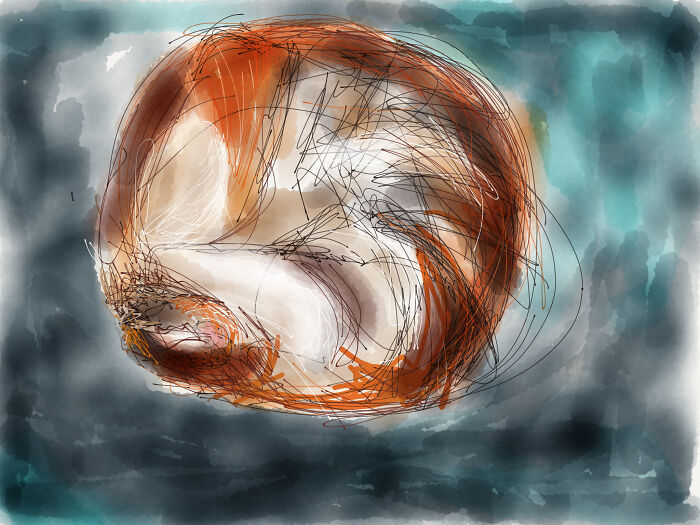 Sketch Of Cat-Bun