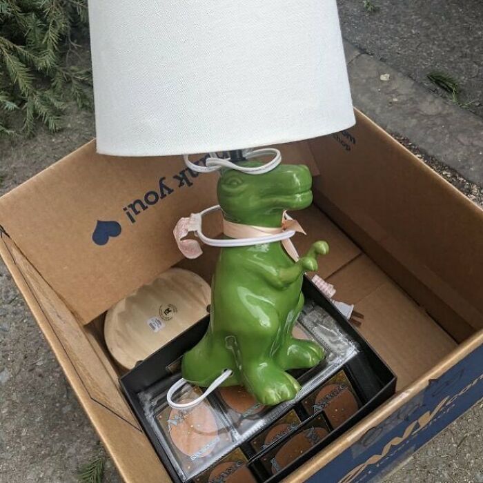 A Dino Lamp And Magic Cards? F’ing Jackpot. Rogers Ave And Prospect Pl
