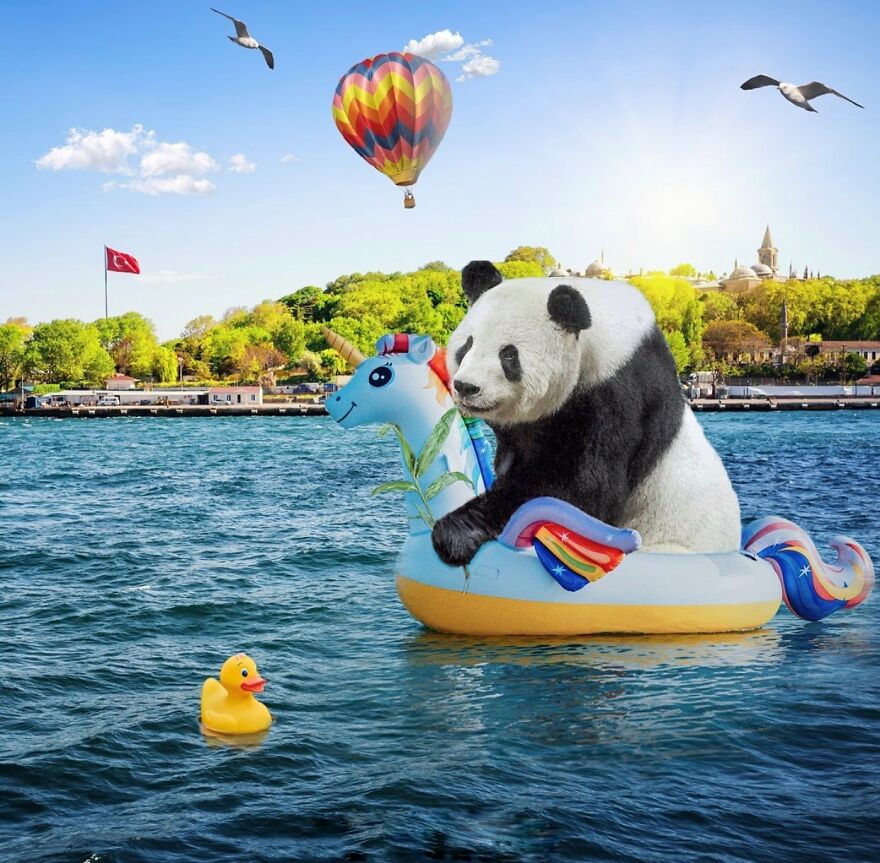 Panda-İstanbul