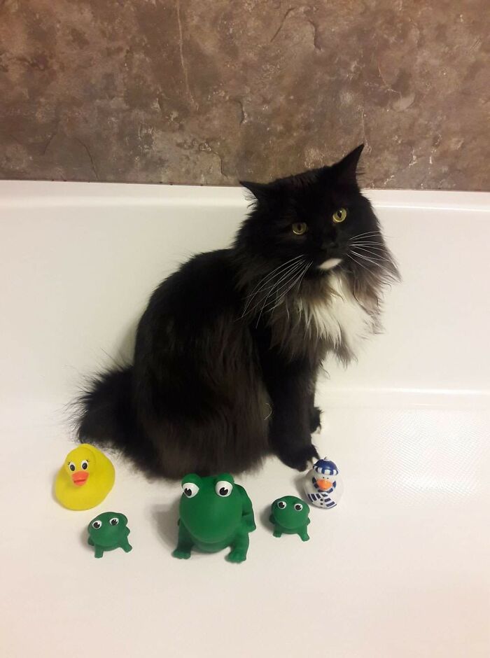 Jax Is Ready For His Bath!