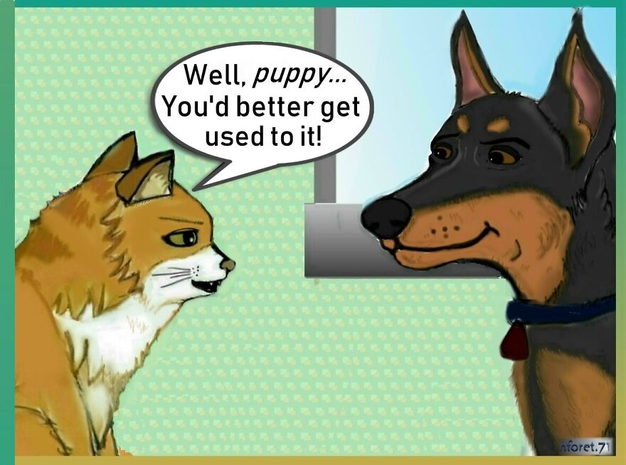 "Good Dog..."