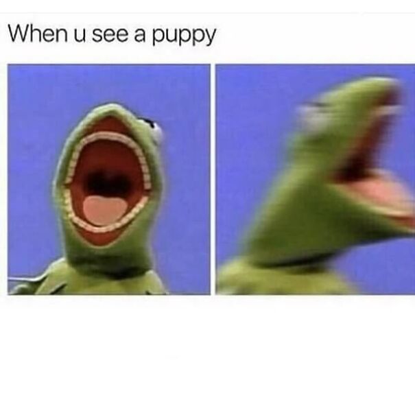 When U See A Puppy