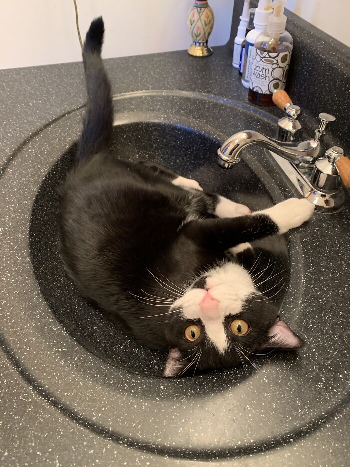 I Likes The Sink