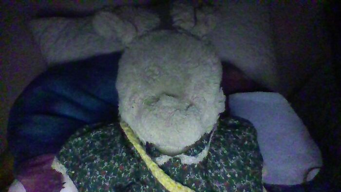 My Stuffed Animal Fluffy! She Was Given To Me By My Mom