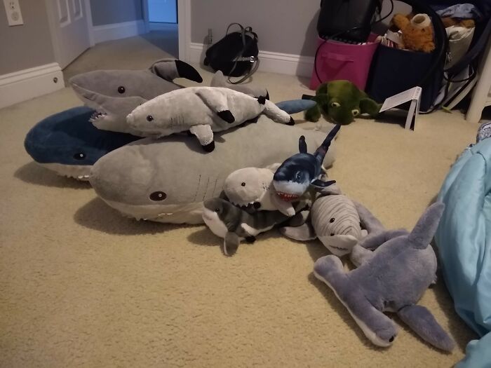 This Is My Shark Family.