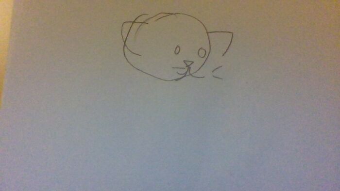 I Shall Penentrate You All With This Crappy Cat Lol