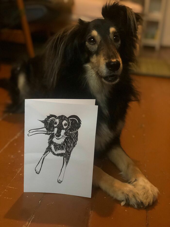 Sketched My Dog Brukne