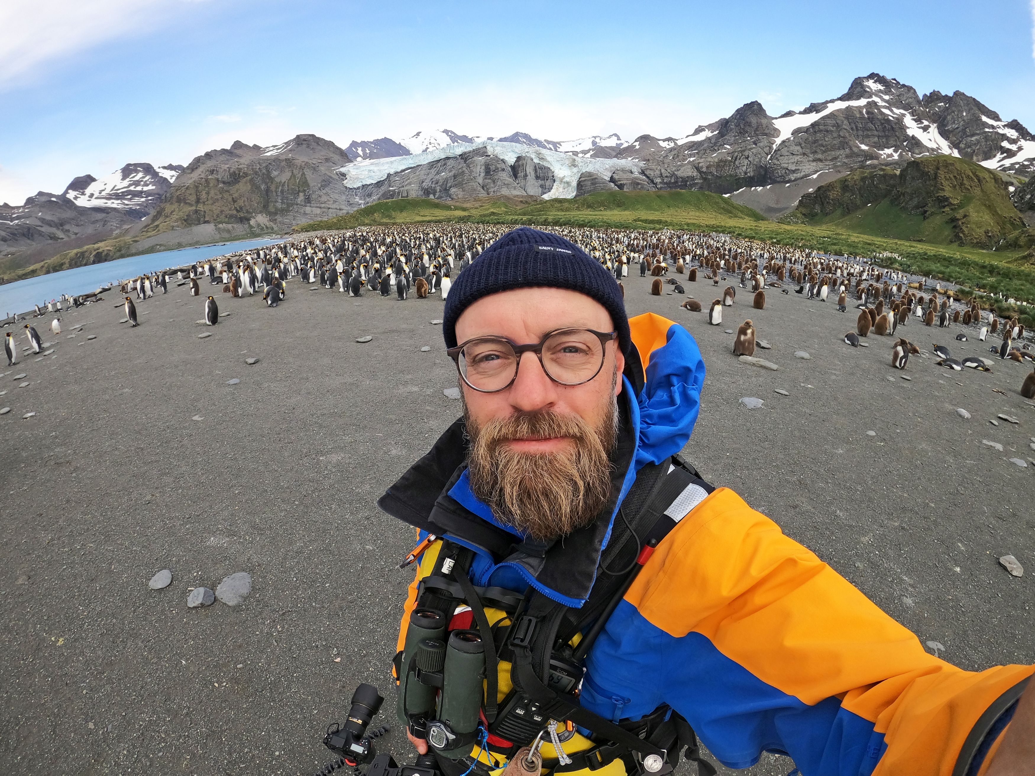 Wildlife Photographer Captures A ‘Never Before Seen’ 1-In-146k Yellow Penguin
