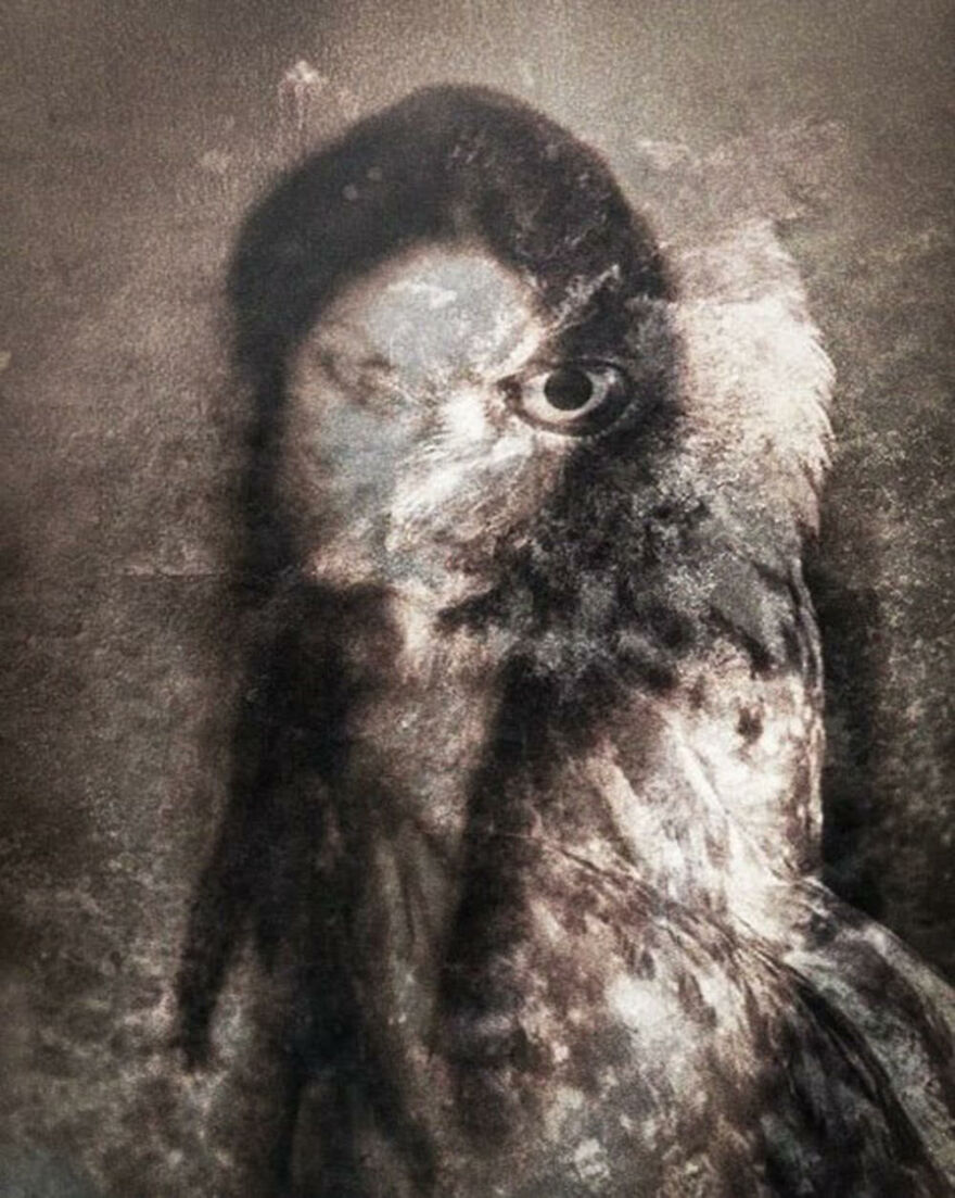 Nahw Yg "The Owl" 2020 Manipulated Photograph