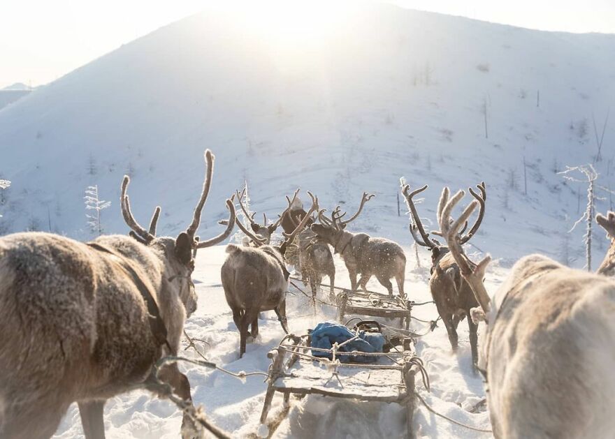 Photographer Alexey Vasiliev shows the daily life of Russias coldest region 60375572990c7 880 - Qual a menor temperatura já registrada na Terra?