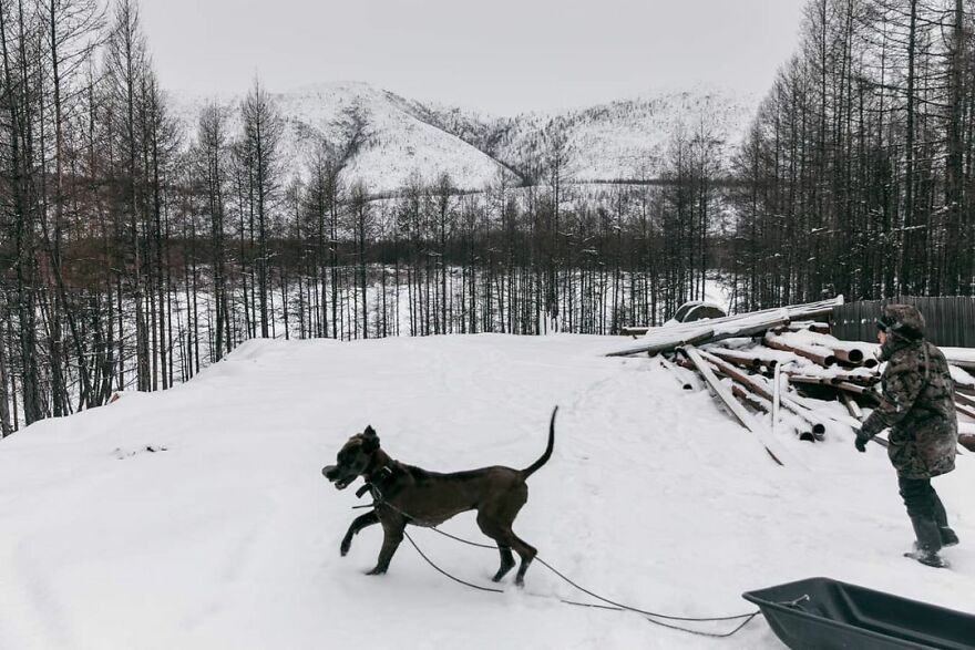 Photographer Alexey Vasiliev shows the daily life of Russias coldest region 6037557518340 880 - Qual a menor temperatura já registrada na Terra?