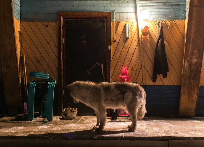 Photographer Captures The Lives Of People In Yakutia, Where It Gets As Cold As -58 Fahrenheit (35 Pics)