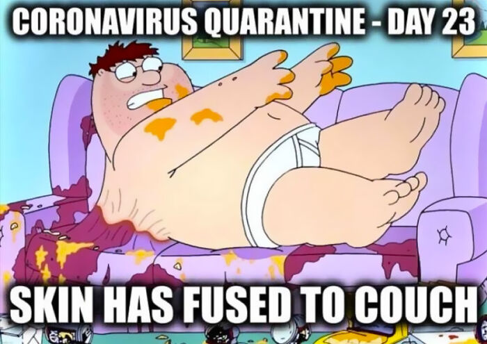 The Memes Of Quarantine