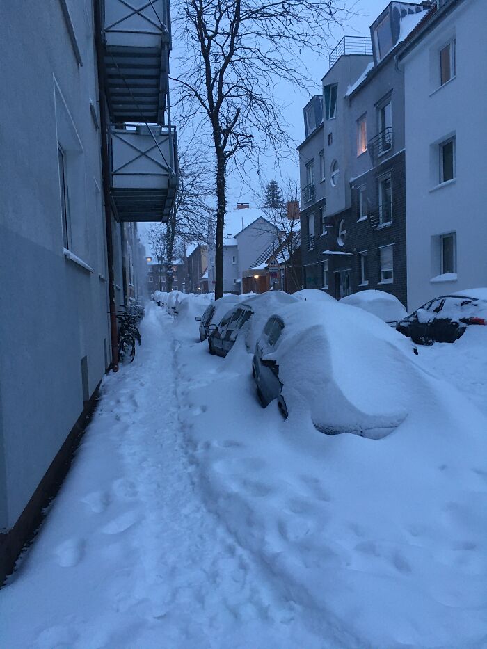 Cars Under Snow