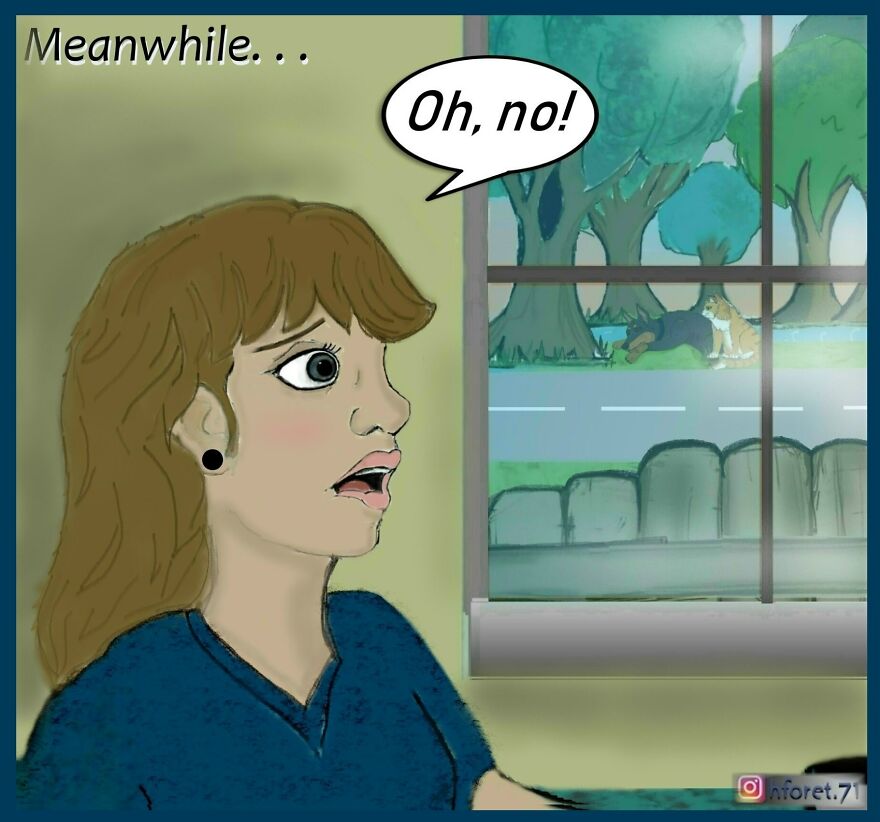 The Intervention....