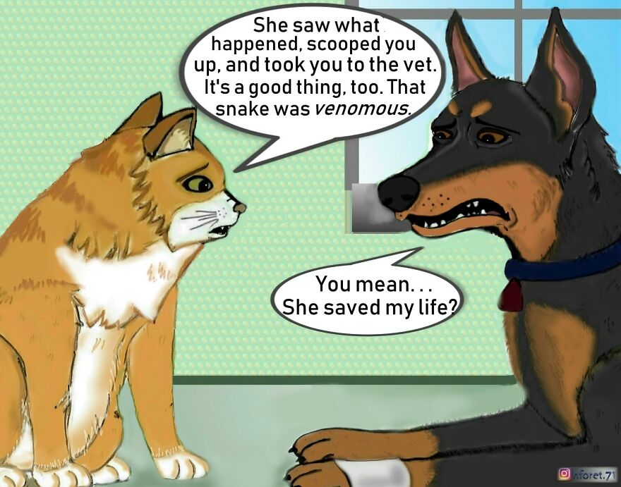 "The Rescue..."