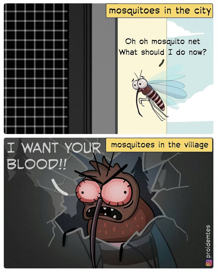 How To Distinguish A City Mosquito From A Village Mosquito