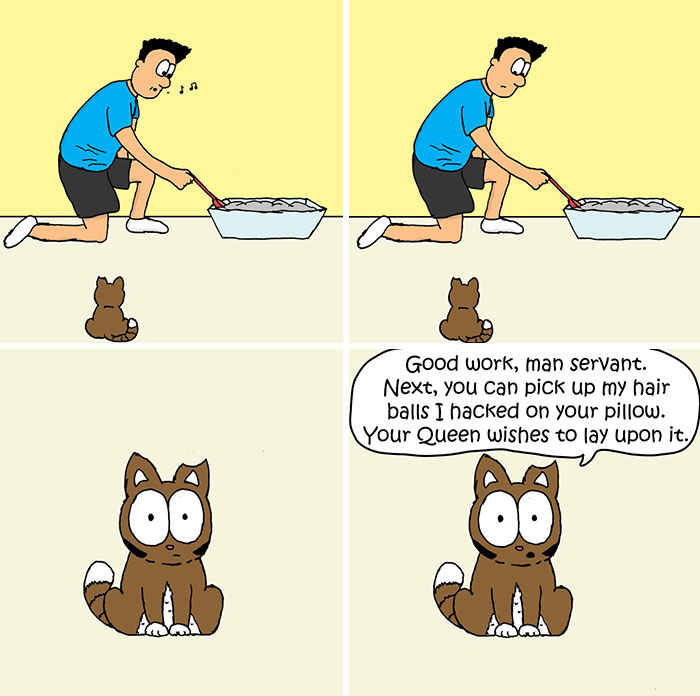 This Artist Makes Fun Comics That Cat Owners Will Understand Very Well