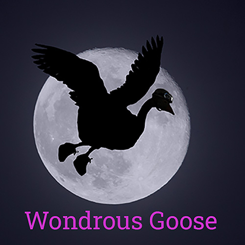 Wondrous-goose-logo-6030de22ccdc5.jpg