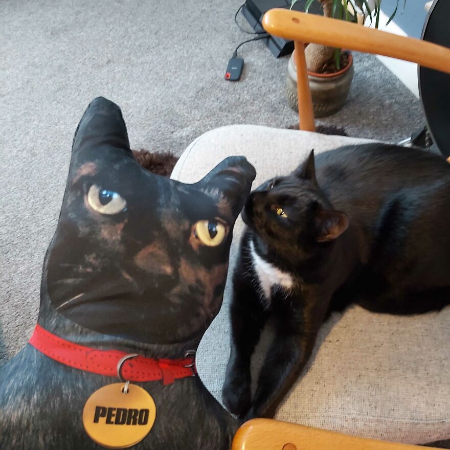I Make Personalized Dolls Of Your Pets And The Results Are Totally ...