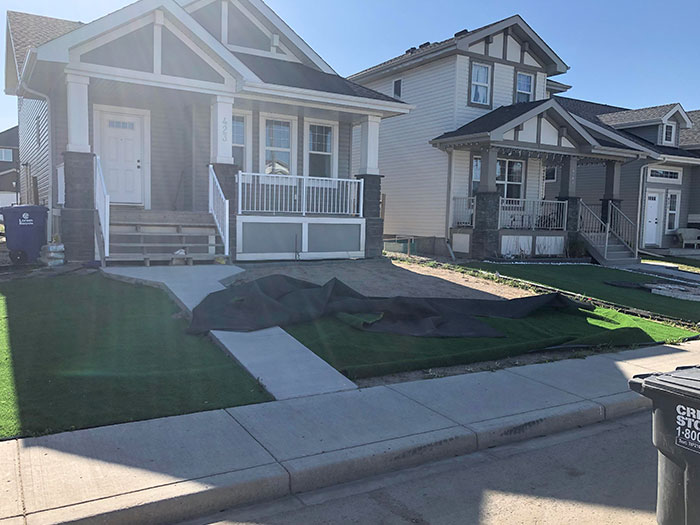 It’s So Windy In Saskatchewan, Canada Today My Neighbor's Grass Almost Blew Away