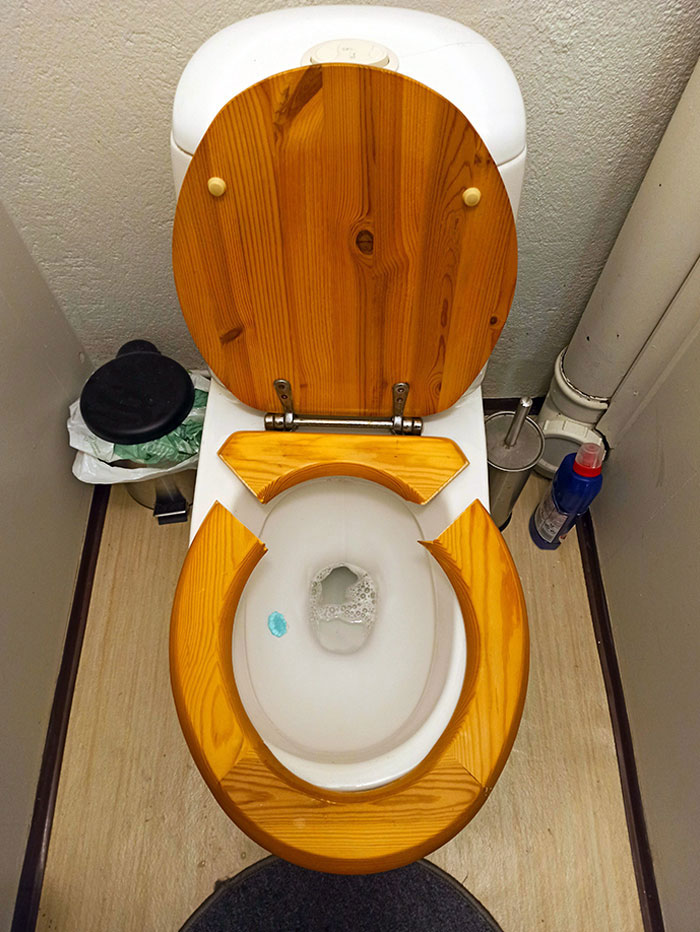 After Losing 1/3rd Of My Weight, I Finally Didn't Feel Too Fat Anymore. The Toilet Disagreed
