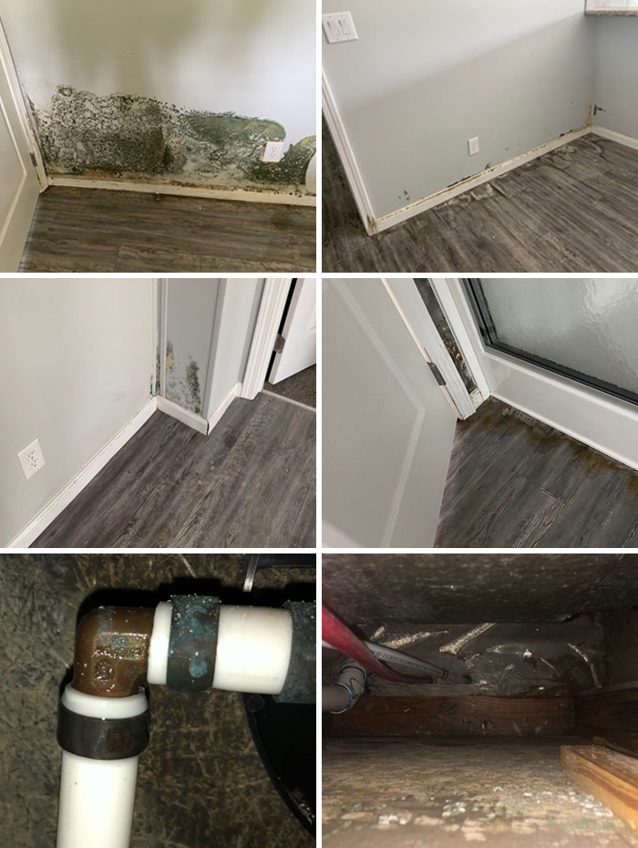 Built A Brand New House And The Day Of Final Inspection Come To Find Its Infested With Mold