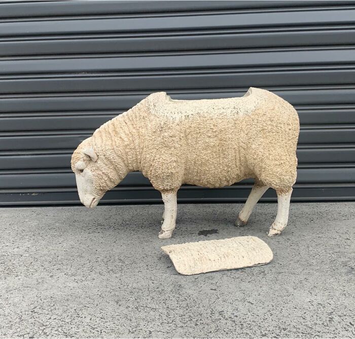 Acabo de recoger esta oveja de tamaño natural de una casa de subastas. Será mi cubitera para mantener las bebidas frías