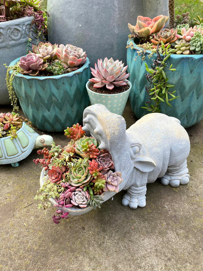 Happy Hippo Day! Here’s Mine. Found At An Estate Sale