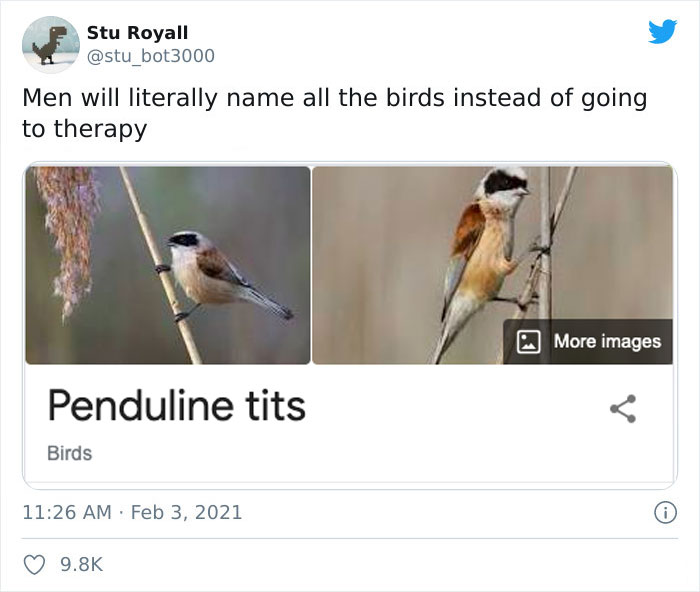 Penduline Tit