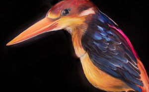 This Artist Creates Beautiful Body Paintings (70 Pics)